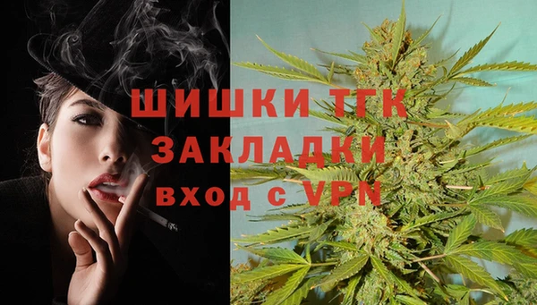 винт Надым