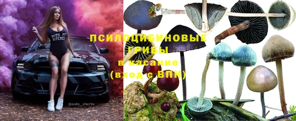 метадон Михайлов