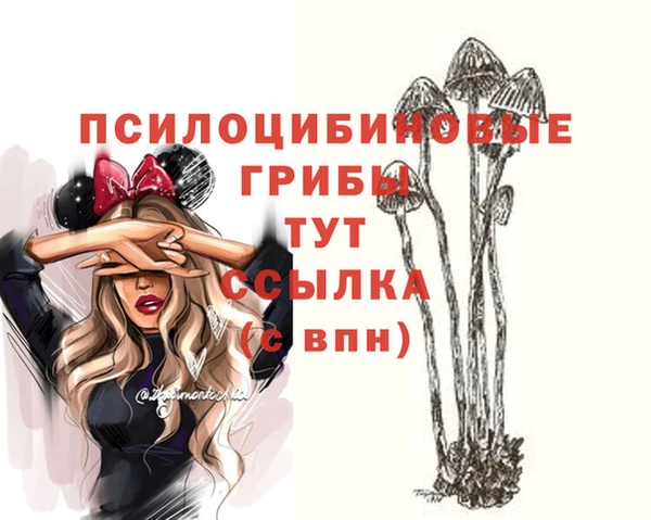винт Надым
