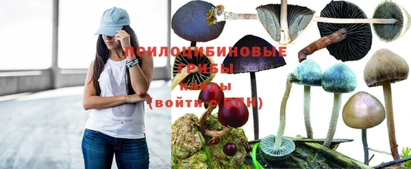 винт Надым