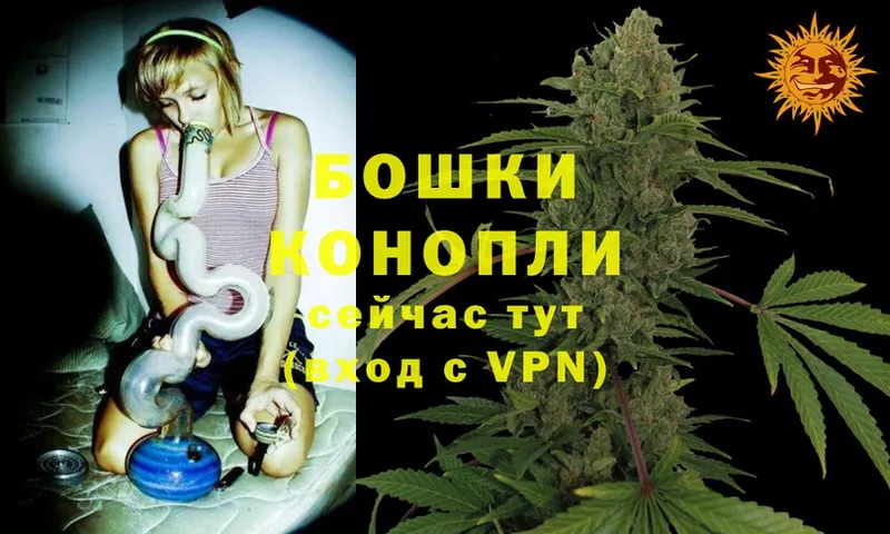 где продают наркотики  Никольское  МАРИХУАНА White Widow 