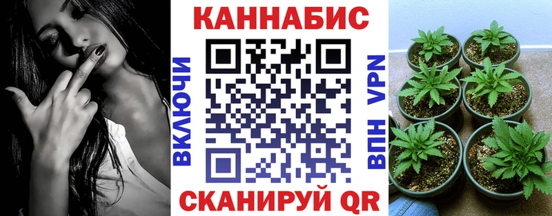 blacksprut ссылки  Никольское  Шишки марихуана LSD WEED 